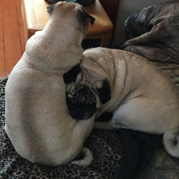 Create a Bundle! 🎀 15% off two or more items!🎉🦄 - Picture 6 of 11